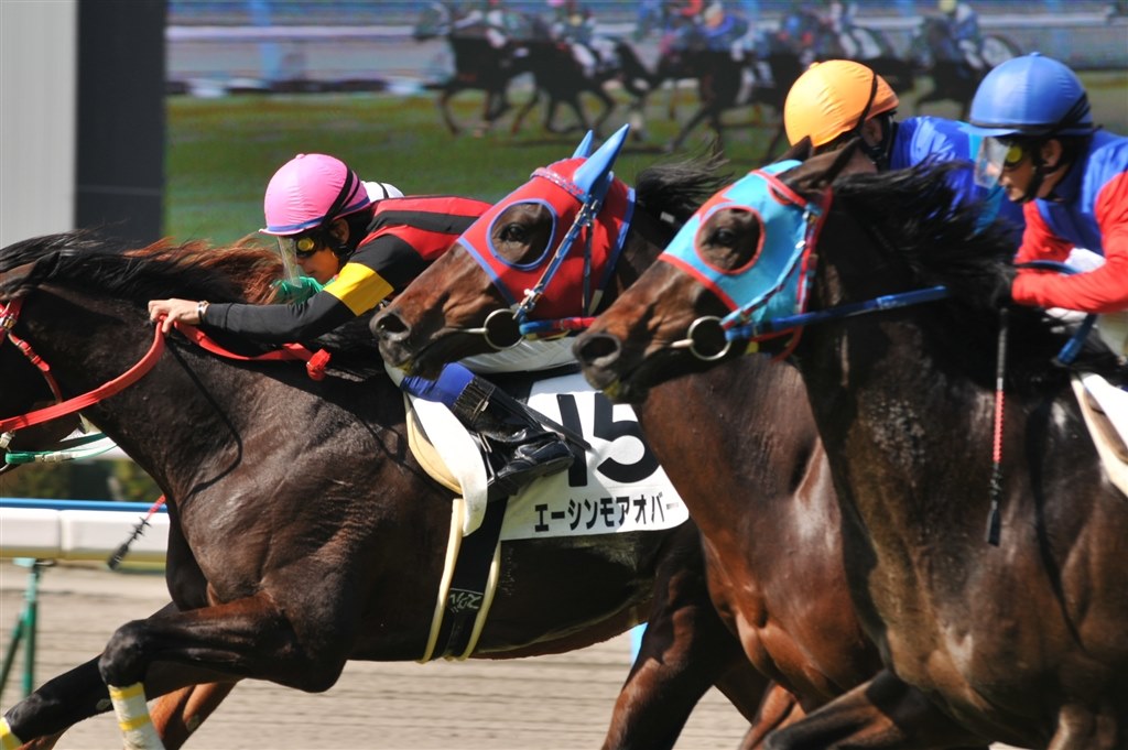 ダイワスカーレット 新馬戦 現地的中単勝馬券 貴重！