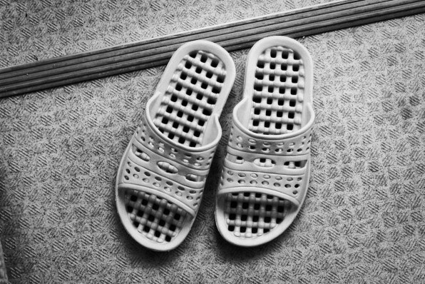 ライカ V-LUX 20投稿画像・動画 - 価格.com