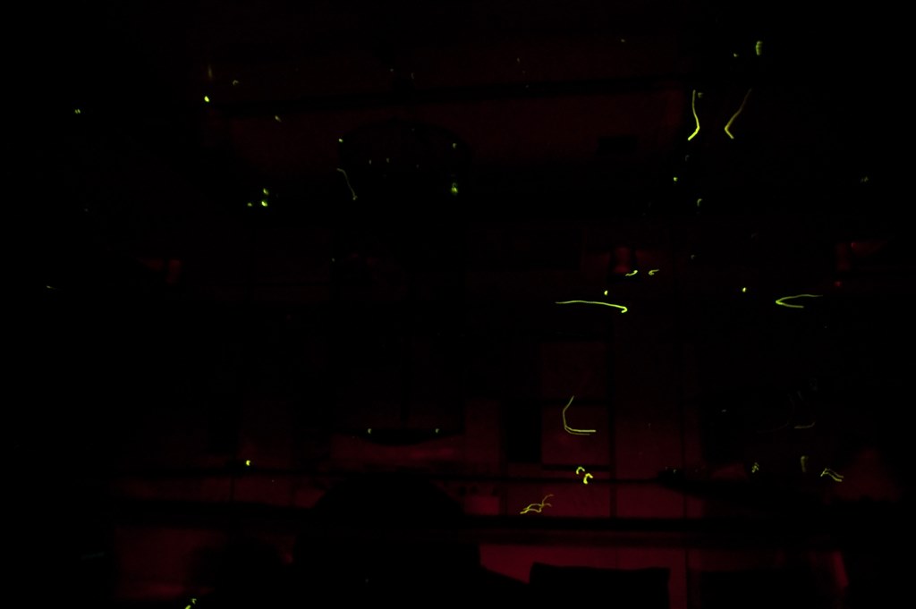 暗所での撮影方法』 ニコン D90 ボディ のクチコミ掲示板 - 価格.com