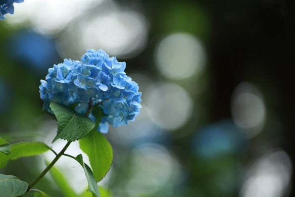 PAR18です！ 御題は梅雨＆夏 季節を感じて・・』 クチコミ掲示板 ...