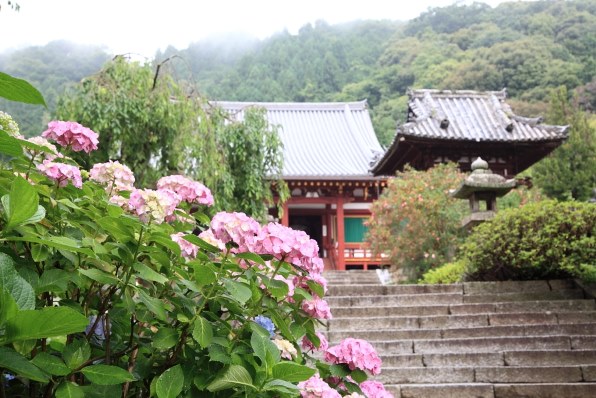 Part19です 今度も梅雨と夏 かな クチコミ掲示板 価格 Com
