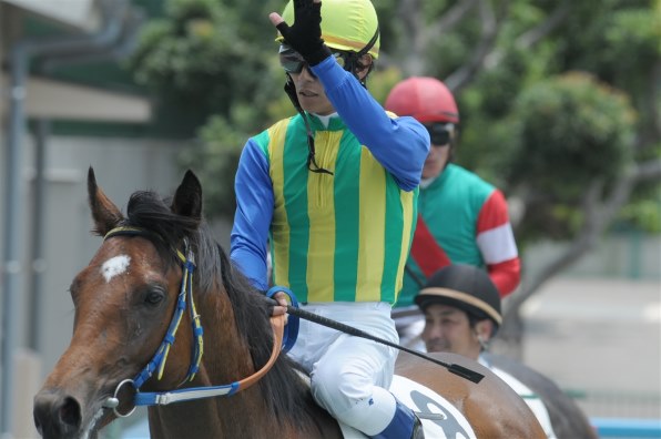 お馬さん好きのスレッド（その10）』 クチコミ掲示板 - 価格.com