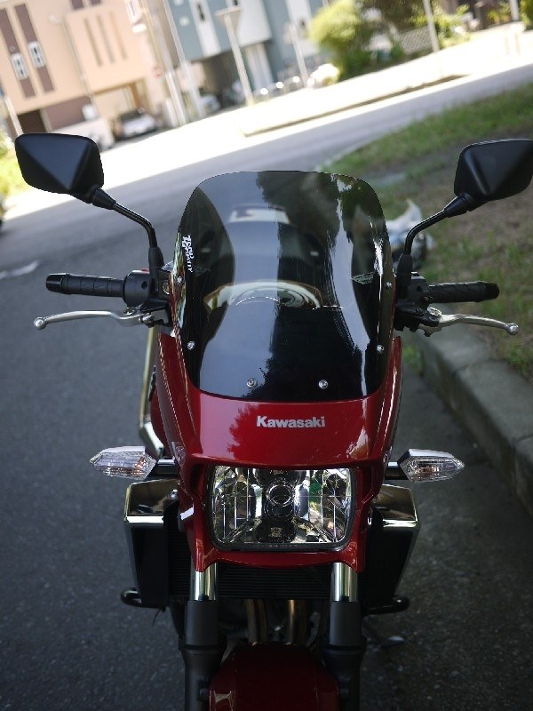 絶版品 ゼログラビティ スモークスクリーン ZRX1200DAEG