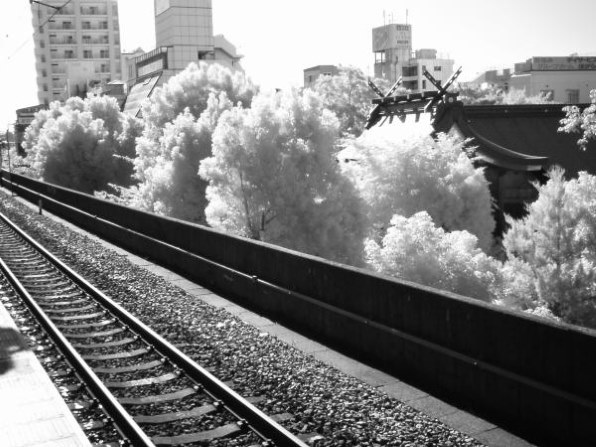 YASHICAデジタルカメラ　EZ DigitaI F537IR 赤外線撮影 YASHICA EZ Digital F537IR 価格比較 - 価格.com