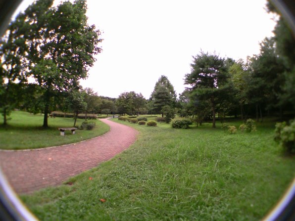 赤外線写真の愉しみ』 YASHICA EZ Digital F537IR のクチコミ掲示板