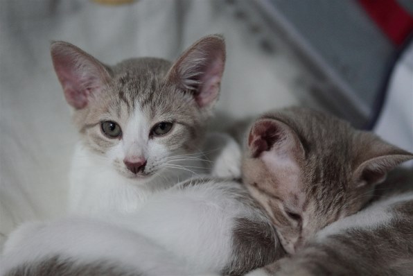 PART24です・・・秋の気配も見えるかな？？』 クチコミ掲示板 - 価格.com