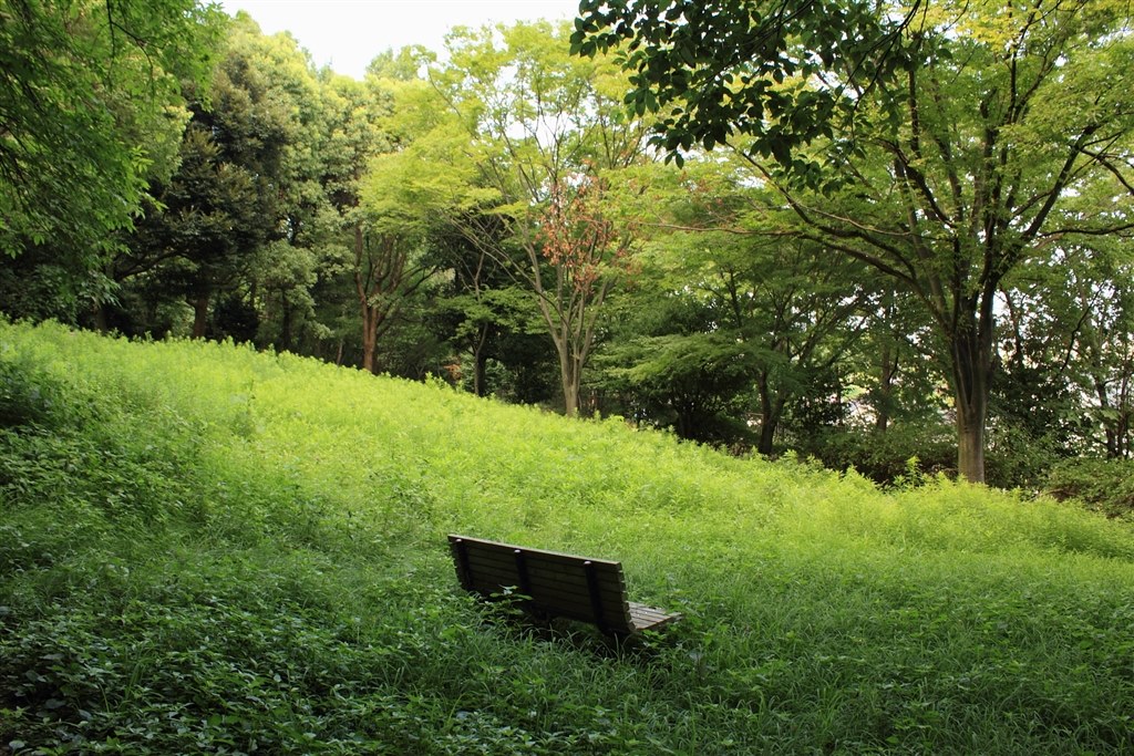 Canon EOS Kiss x4 ダブルズーム 一眼レフ 作例有 緑の作例』 CANON EOS Kiss X4 ダブルズームキット のクチコミ掲示板