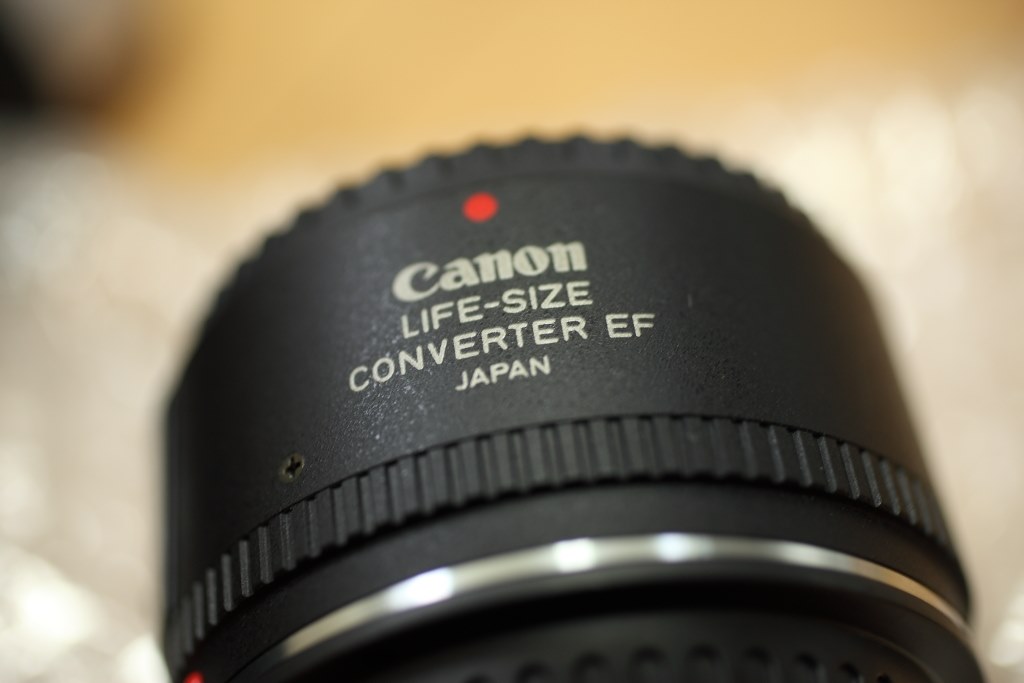 ライフサイズ コンバーター購入しました』 CANON EF50mm F2.5