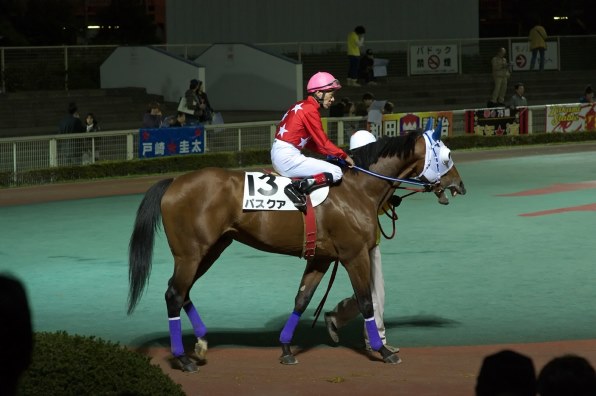 かなり前の競馬の景品の置物です。多分。 高知けいばのゼッケン | 高知けいばメモ