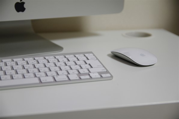 シグマ 17-50mm F2.8 EX DC OS HSM [ペンタックス用]投稿画像・動画