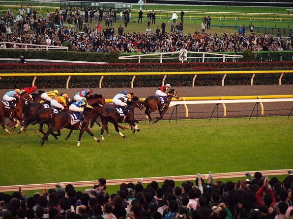 お馬さん好きのスレッド その13 クチコミ掲示板 価格 Com