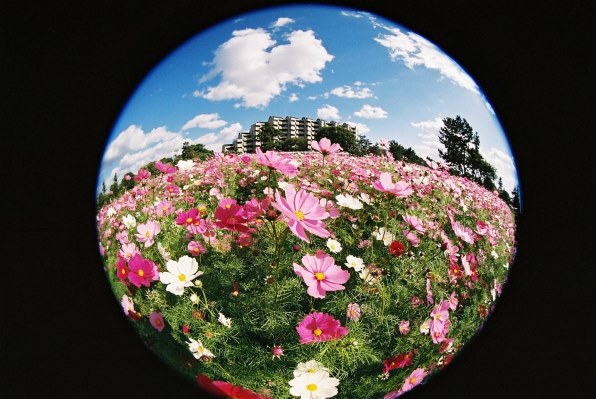 シグマ 8mm F3.5 EX DG CIRCULAR FISHEYE (ｷﾔﾉﾝ用)投稿画像・動画