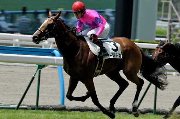 かなり前の競馬の景品の置物です。多分。 51u+jAR51RL.jpg_BO30,255,255,