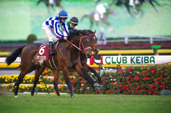 お馬さん好きのスレッド（その14）』 クチコミ掲示板 - 価格.com