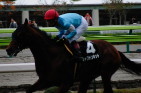 お馬さん好きのスレッド（その14）』 クチコミ掲示板 - 価格.com