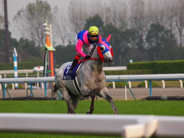 お馬さん好きのスレッド（その14）』 クチコミ掲示板 - 価格.com