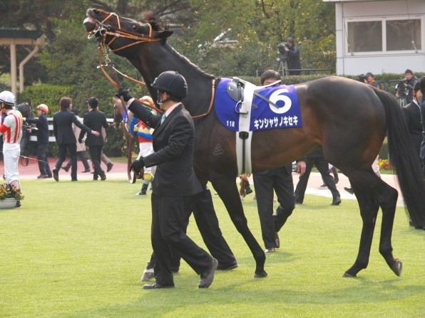 お馬さん好きのスレッド（その14）』 クチコミ掲示板 - 価格.com