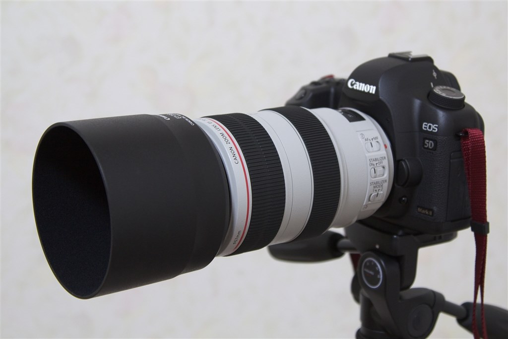 品質保証 買っちゃおうかしら・・・』 CANON EF70-300mm F4-5.6L IS USM レンズ(ズーム)