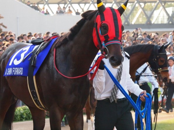 お馬さん好きのスレッド（その14）』 クチコミ掲示板 - 価格.com