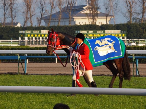 お馬さん好きのスレッド（その14）』 クチコミ掲示板 - 価格.com