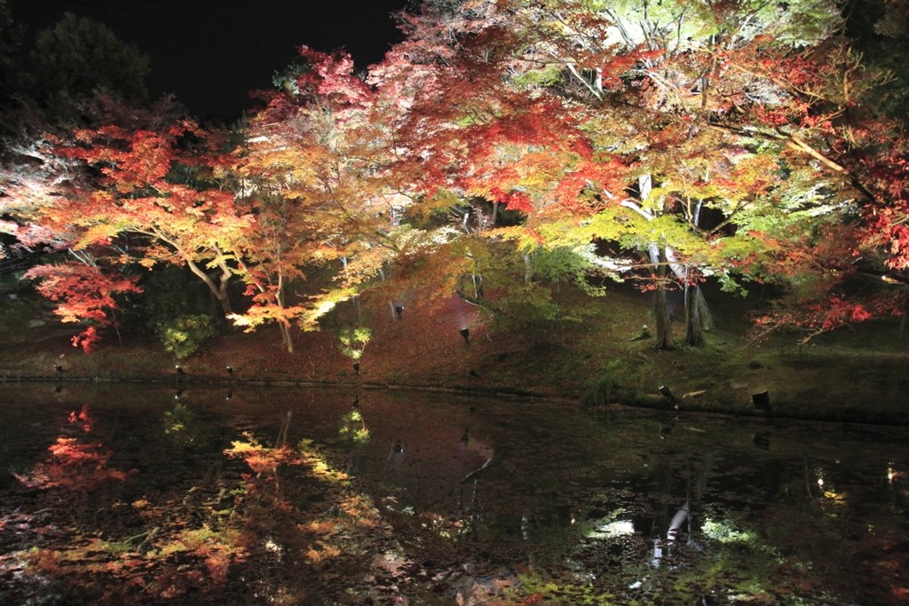 夜景も手持ちでビシバシ』 CANON EOS 60D ボディ のクチコミ掲示板
