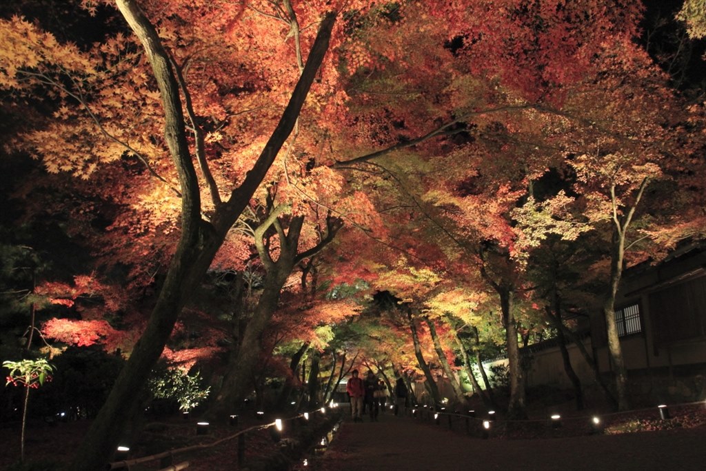 夜景も手持ちでビシバシ』 CANON EOS 60D ボディ のクチコミ掲示板