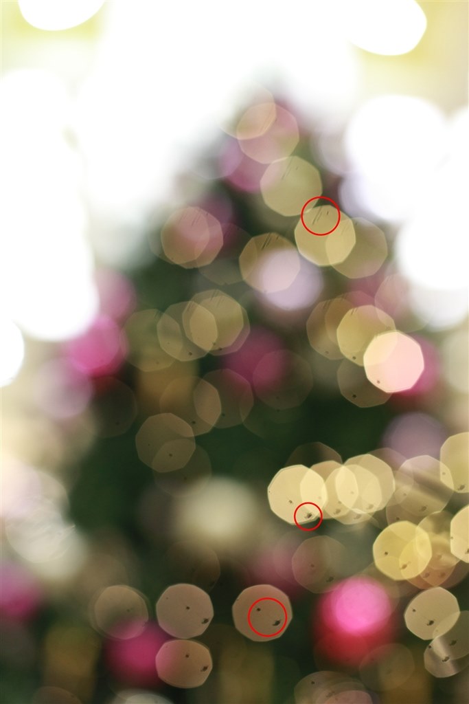 床*リ様 Canon EOS 5D Mark II 本体のみ(傷多め) Amazon | Canon EOS 5D Mark II フルフレームデジタル一眼レフ