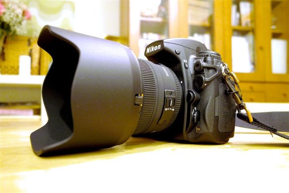 シグマ 24-70mm F2.8 EX DG MACRO (ﾆｺﾝ AF)投稿画像・動画 - 価格.com