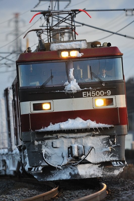 328×1.7の比較』 ニコン AF-S NIKKOR 500mm f/4G ED VR の 328×1.7の比較』 ニコン AF-S NIKKOR 500mm f/4G ED VR の