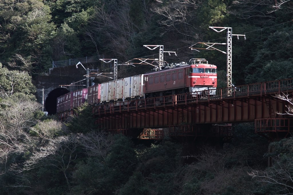 最近は動画も楽しみ始めました。』 CANON EOS 7D ボディ の