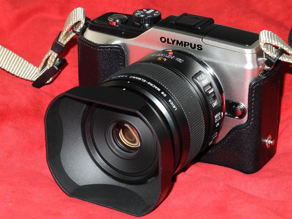 ケースCS-25FBC』 オリンパス OLYMPUS PEN Lite E-PL2 ダブルズーム