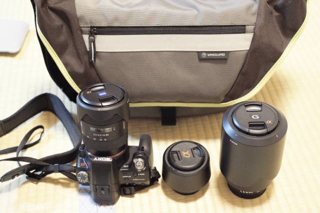 Sony α55 デジタル一眼レフカメラダブルズームレンズキットタムロン　バッグ Amazon | SONY デジタル一眼レフ α55(ダブルズームレンズキット