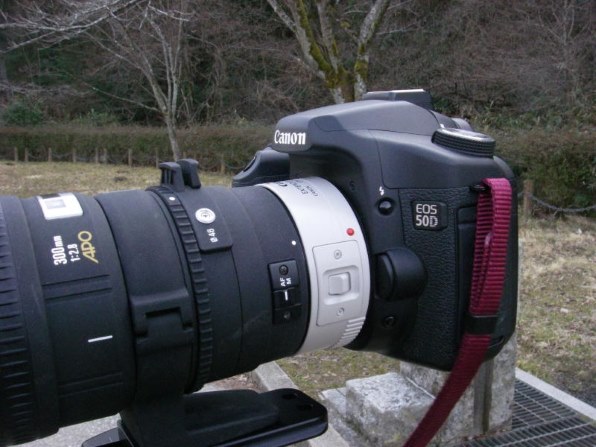 ペンタックス Optio W30で撮影された写真 (掲示板) - 価格.com