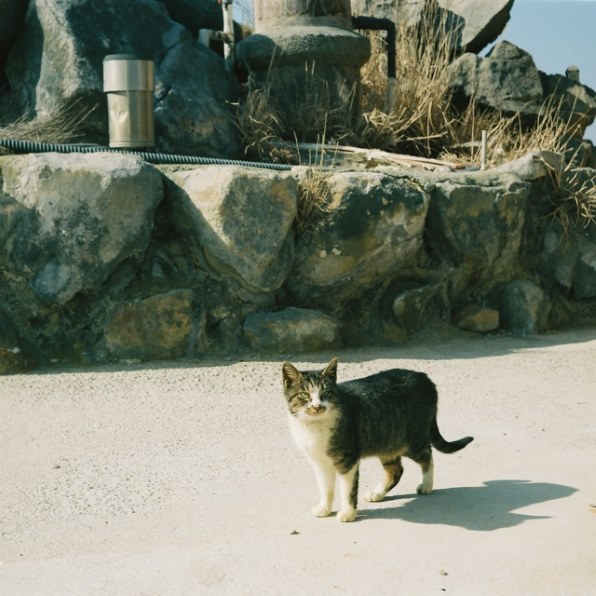 銀塩ユーザーの皆さまへ・その１２（フィルムで写そう！）』 クチコミ