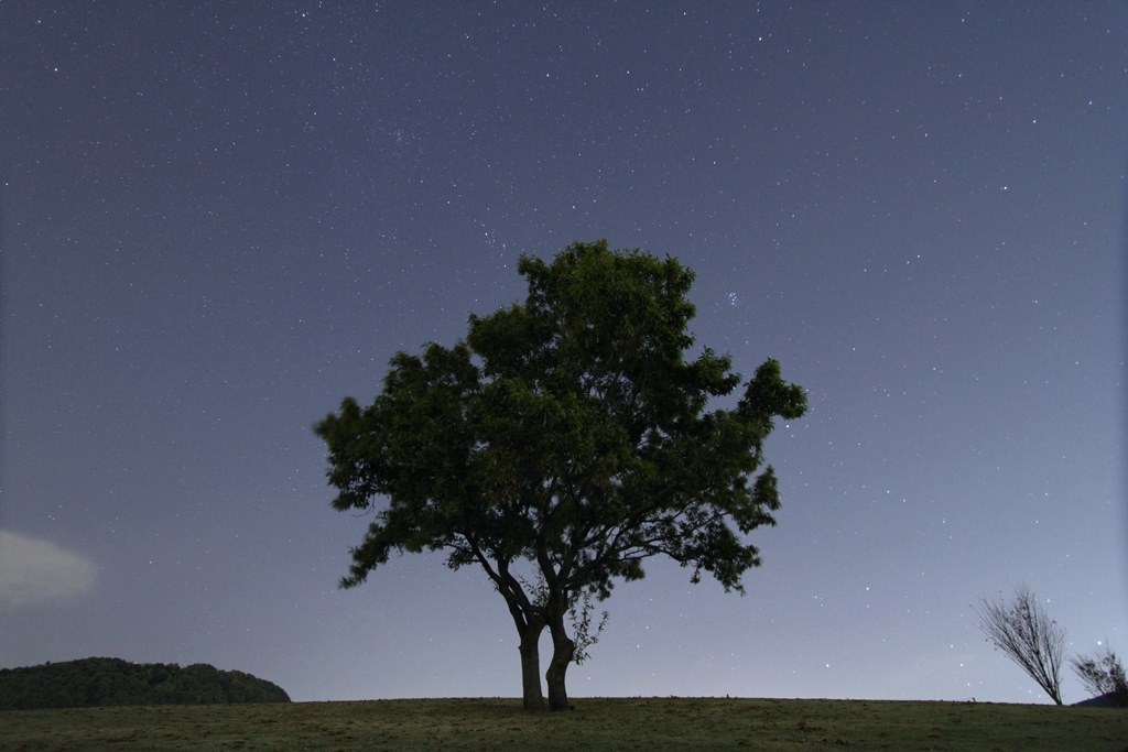 星空を撮るには、、、』 CANON EOS 60D ダブルズームキット の
