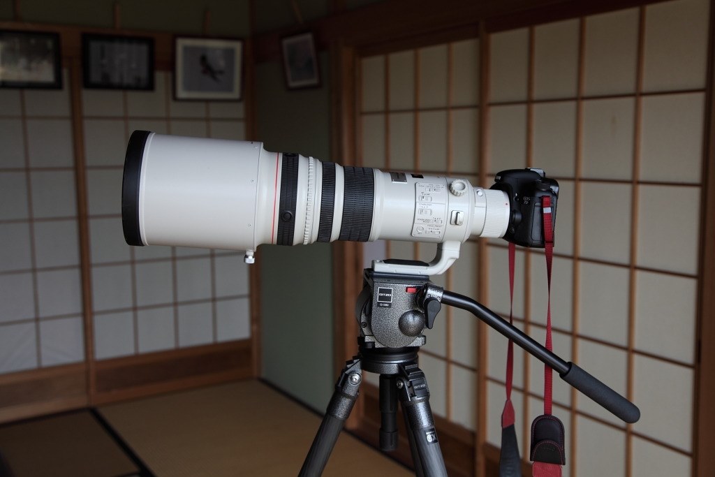 ＧＩＴＺＯ Ｇ1380』 CANON EF500mm F4L IS USM のクチコミ掲示板 ...