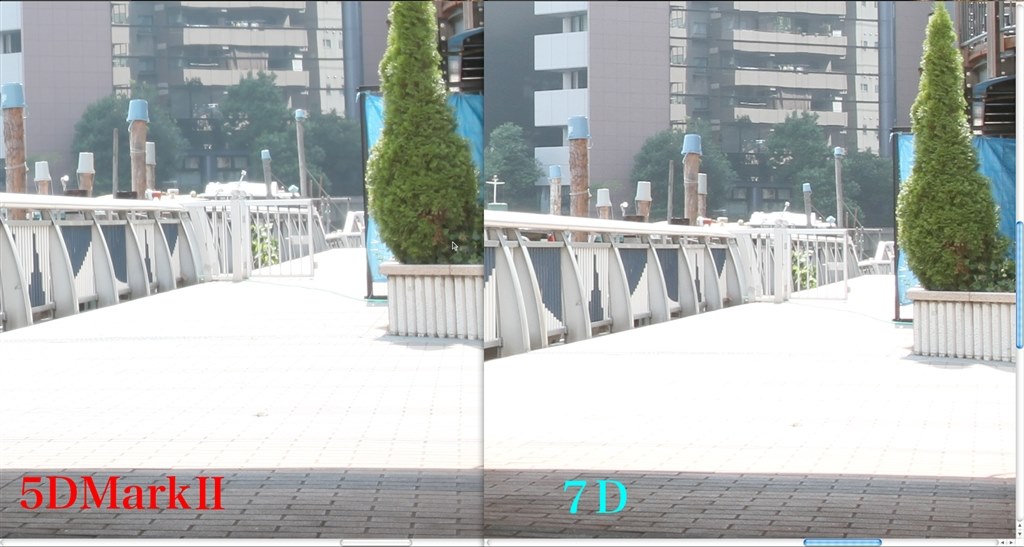 フルサイズの優位性』 CANON EOS 5D Mark II ボディ のクチコミ掲示板