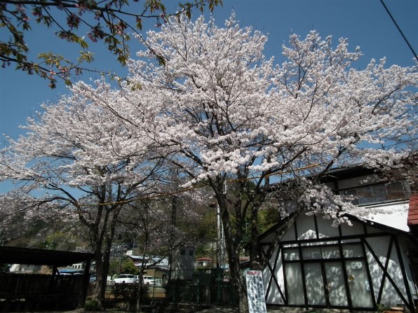 オリンパス μ-7040 価格比較 - 価格.com