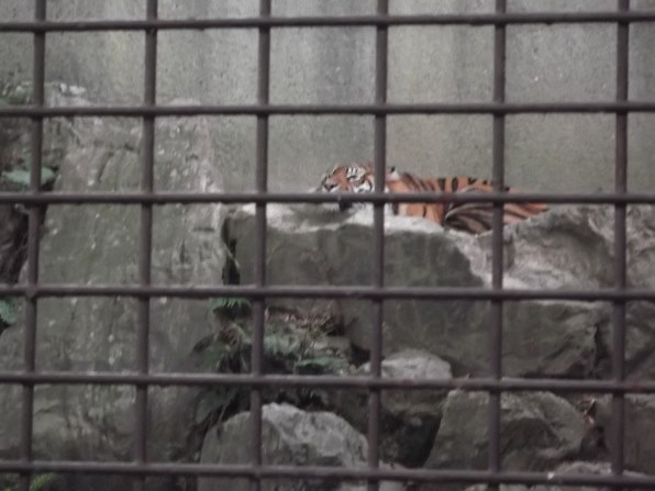 富士フイルム FinePix JX400投稿画像・動画 - 価格.com