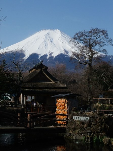 美品　Canon　PowerShot SX1IS　撮影例有　c613e280dd 美品 Canon PowerShot SX1IS 撮影例有 c613e280dd 美品 Canon