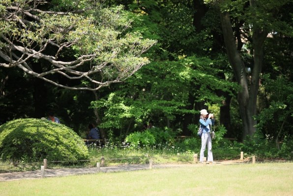 Part55です いよいよ 葉っぱ大会 だよ クチコミ掲示板 価格 Com