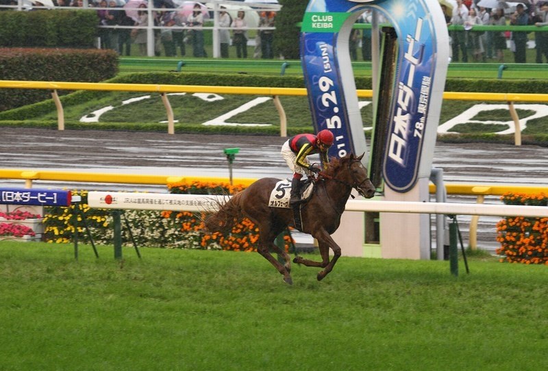 【ウオッカ】日本ダービー全18頭出走馬(現地的中馬券) ウォッカ】日本ダービー全18頭出走馬(現地的中馬券) （JRA（日本