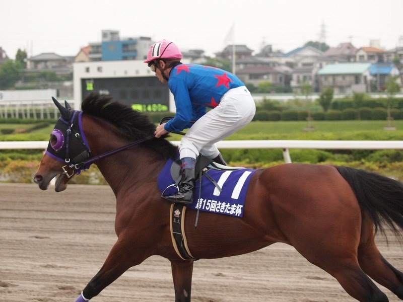 菊花賞　現地単勝馬券　３冠馬牡馬4頭まとめ売り 菊花賞現地単勝馬券3冠馬牡馬4頭まとめ売り