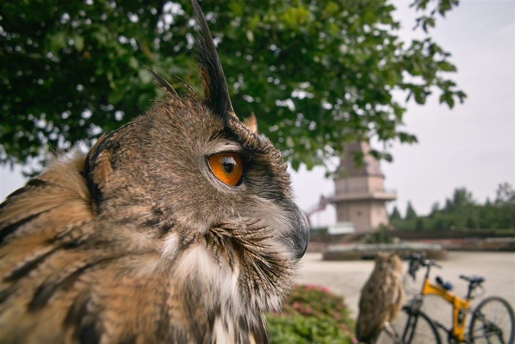 Foveon Blue！』 シグマ SIGMA DP1x のクチコミ掲示板 - 価格.com
