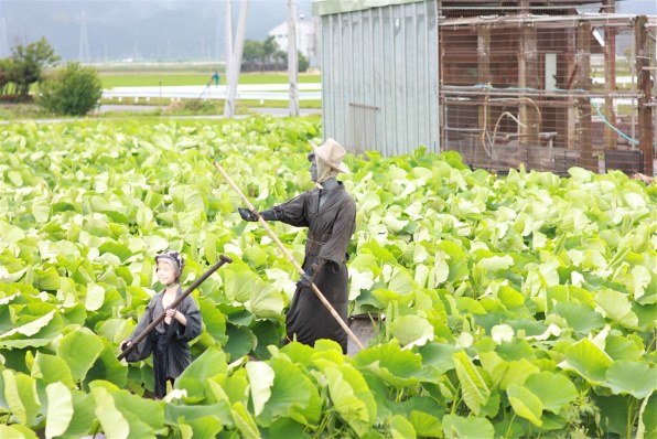 写真作例 色いろいろ 17 クチコミ掲示板 価格 Com