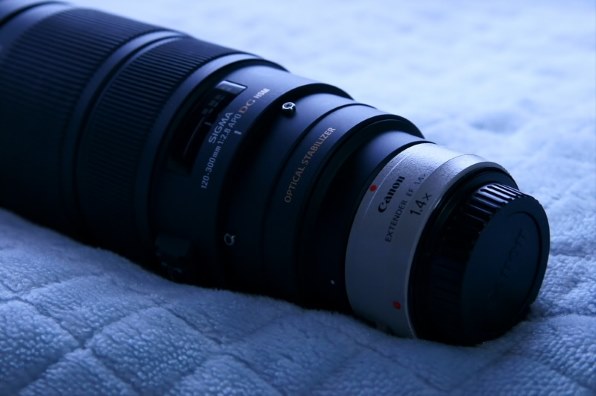 エクステンダー1､4でF4。』 シグマ APO 120-300mm F2.8 EX DG OS HSM