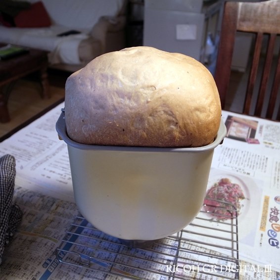 料理】ホームベーカリー「Gopanゴパン」で、お米からパンを作る