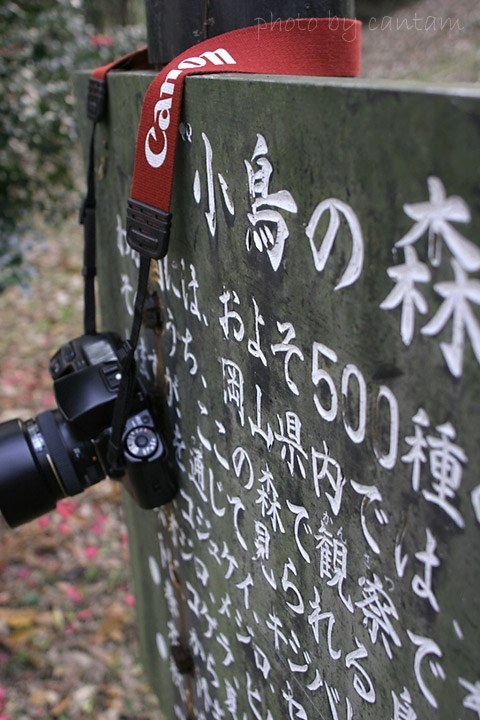 ストラップについて』 CANON EOS 5D Mark II ボディ のクチコミ ストラップについて』 CANON EOS 5D Mark II ボディ のクチコミ