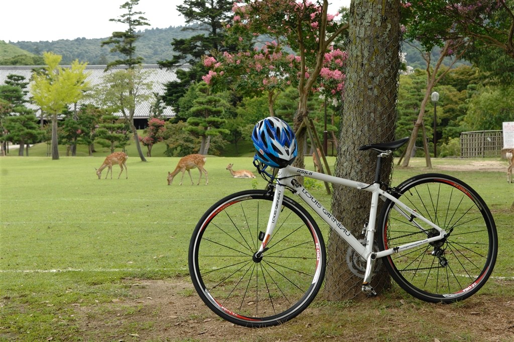 GTのロードバイクです。 買ってすぐにバイクにハマってしまい