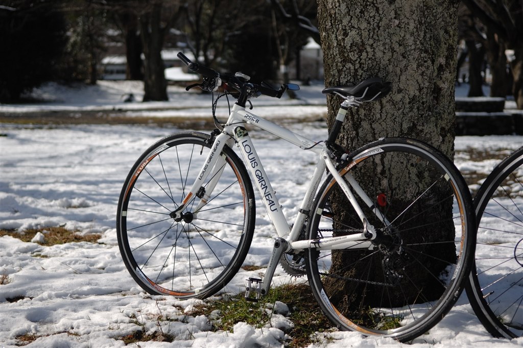 趣味で初めての自転車購入(32歳！)。 アドバイスお願いします